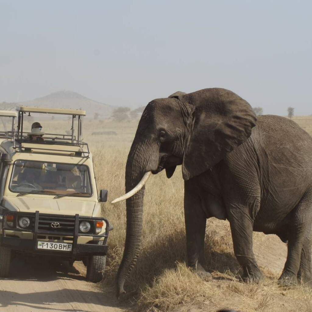 Erlebnis-Reisen Südafrika